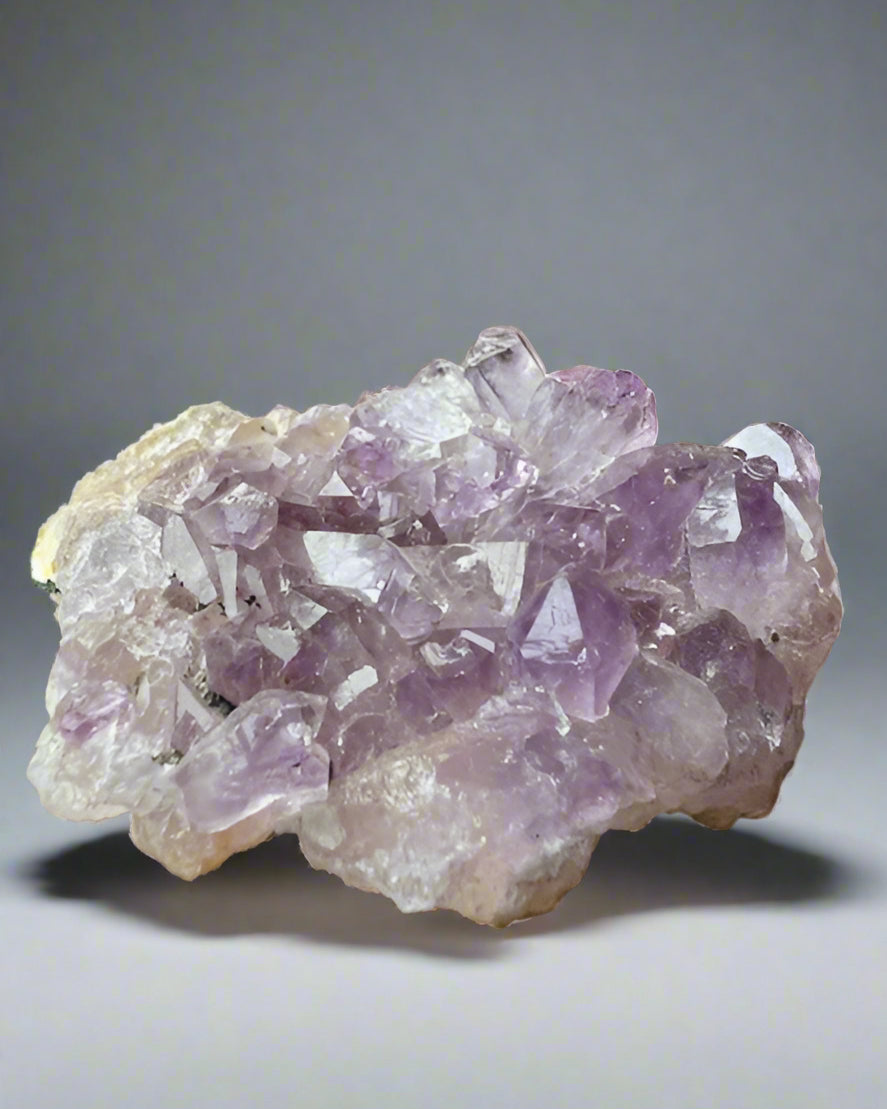 Amethyst palm cluster. Brazil.