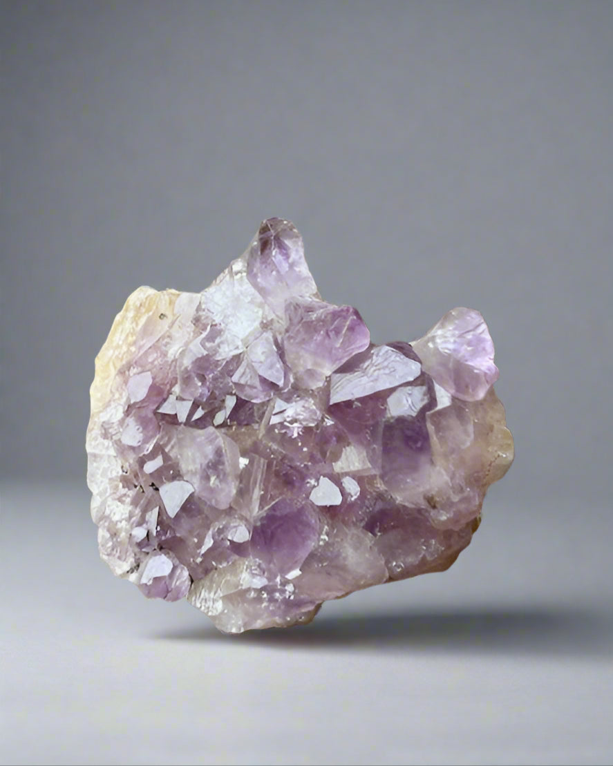 Amethyst palm cluster. Brazil.