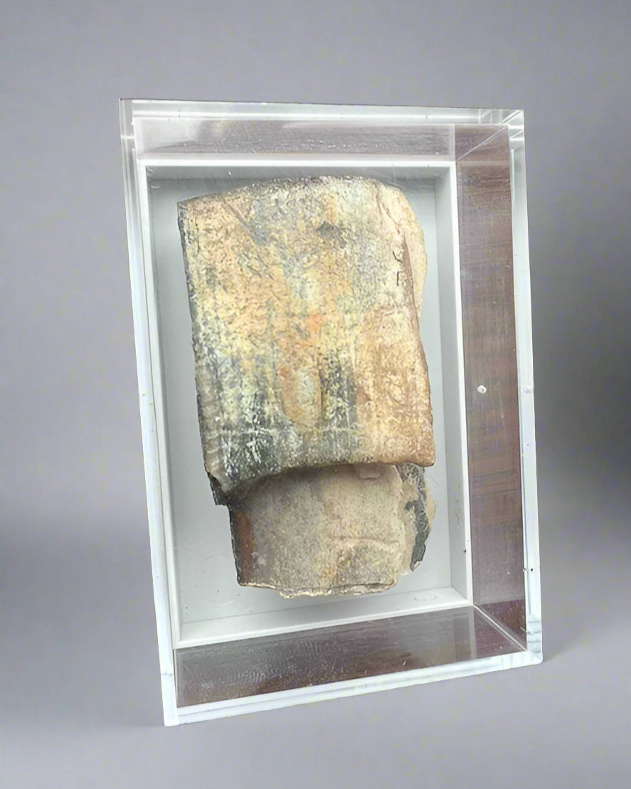 Mammuthus Primigenius (Wooly Mammoth) small tusk fragment. Siberia. Boxed with label.(#1)