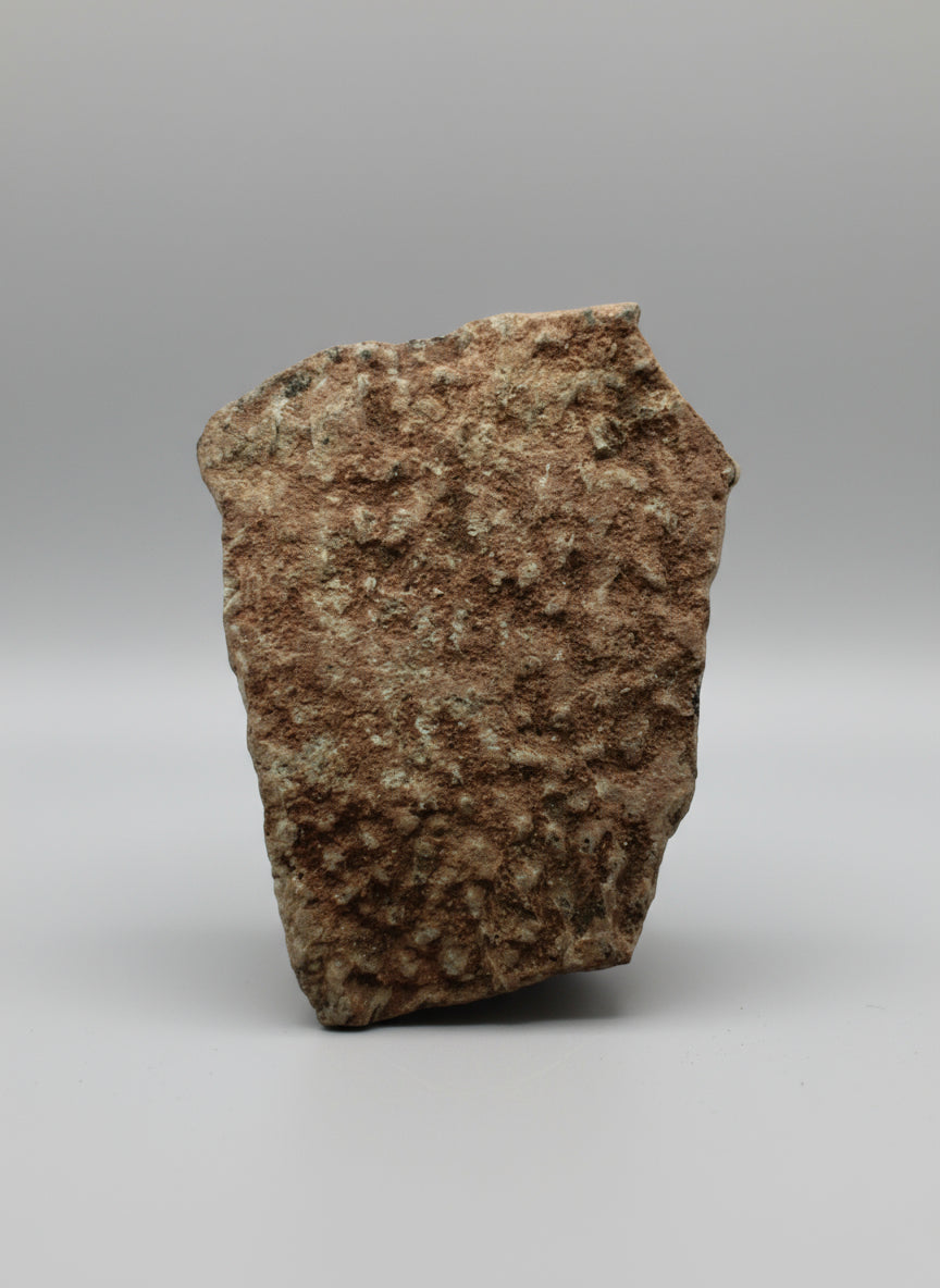 OVIRAPTOR Theropod Dinosaur Eggshell Section #1. Nanxiong, China.