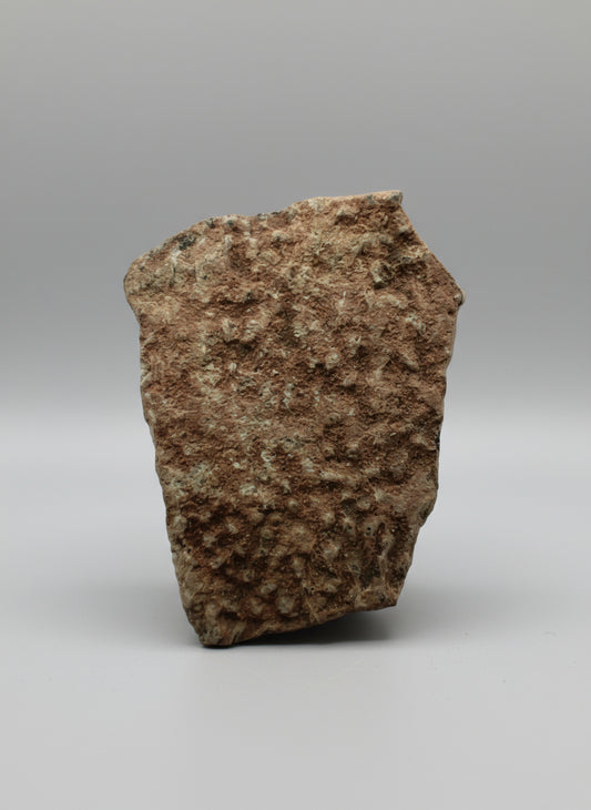 OVIRAPTOR Theropod Dinosaur Eggshell Section #1. Nanxiong, China.