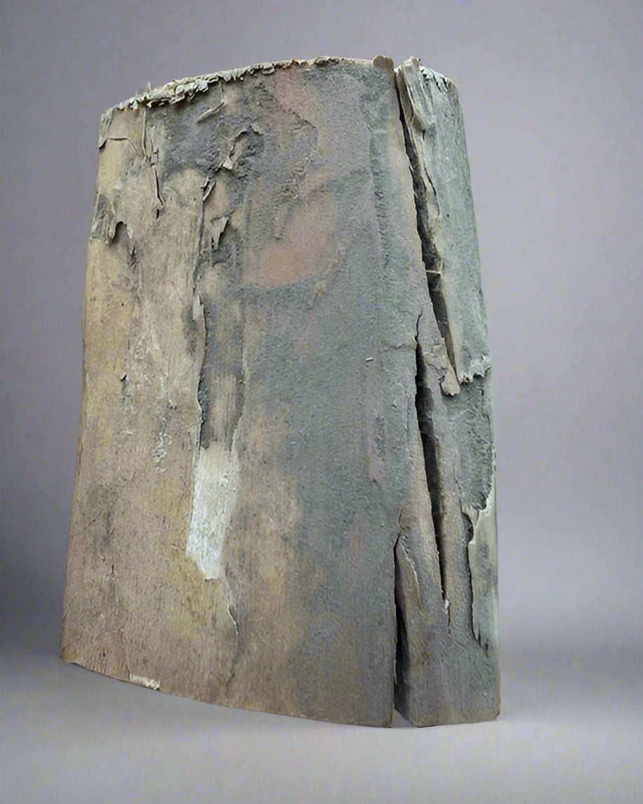 Mammuthus Primigenius (Wooly Mammoth) tusk section. Siberia. Boxed with label.(#1)