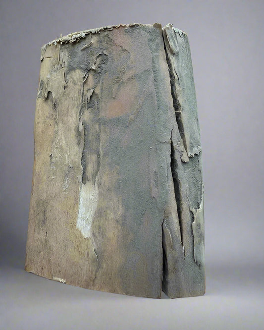 Mammuthus Primigenius (Wooly Mammoth) tusk section. Siberia. Boxed with label.(#1)