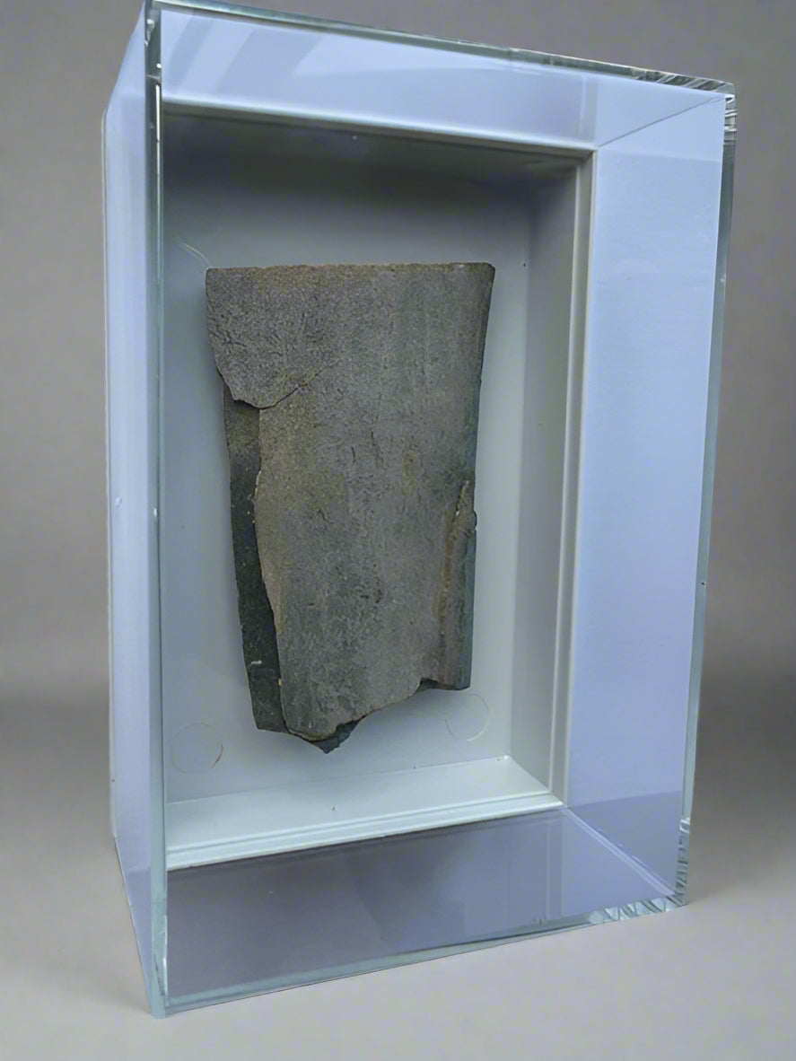 Mammuthus Primigenius (Wooly Mammoth) BLUE tusk section. Siberia. Boxed with label.(#2)