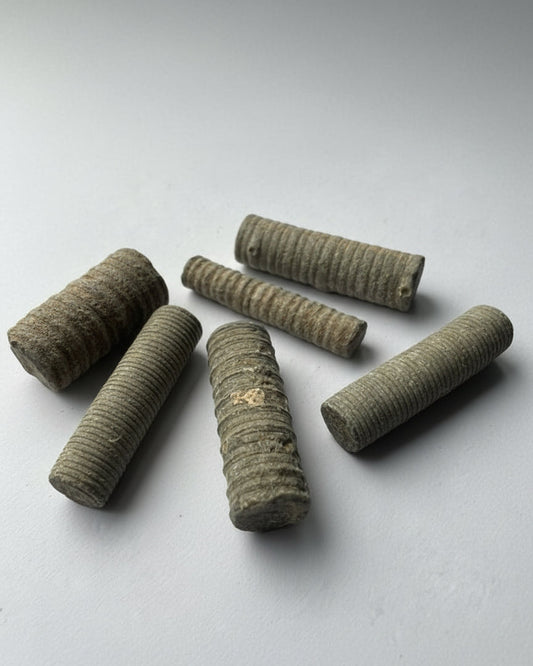 Crinoid stems, Carboniferous, UK. pack of 5