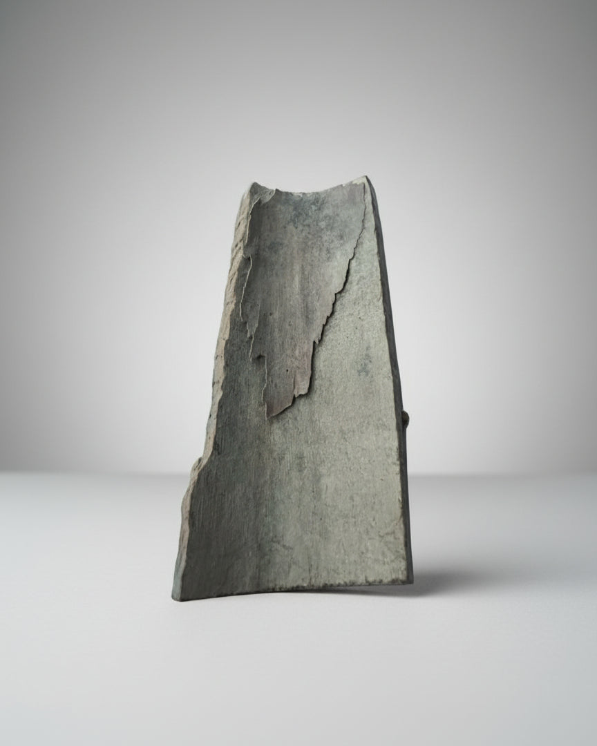 Mammuthus Primigenius (Wooly Mammoth) tusk section. Siberia.(#L1)