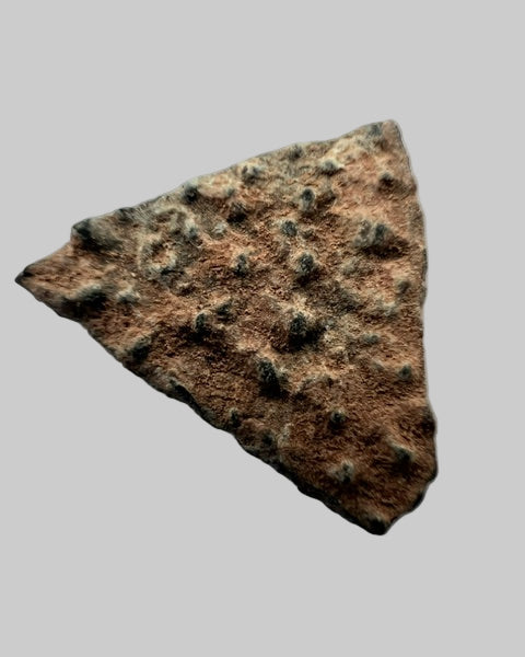 OVIRAPTOR Theropod Dinosaur Eggshell Fragment #3. Nanxiong, China.