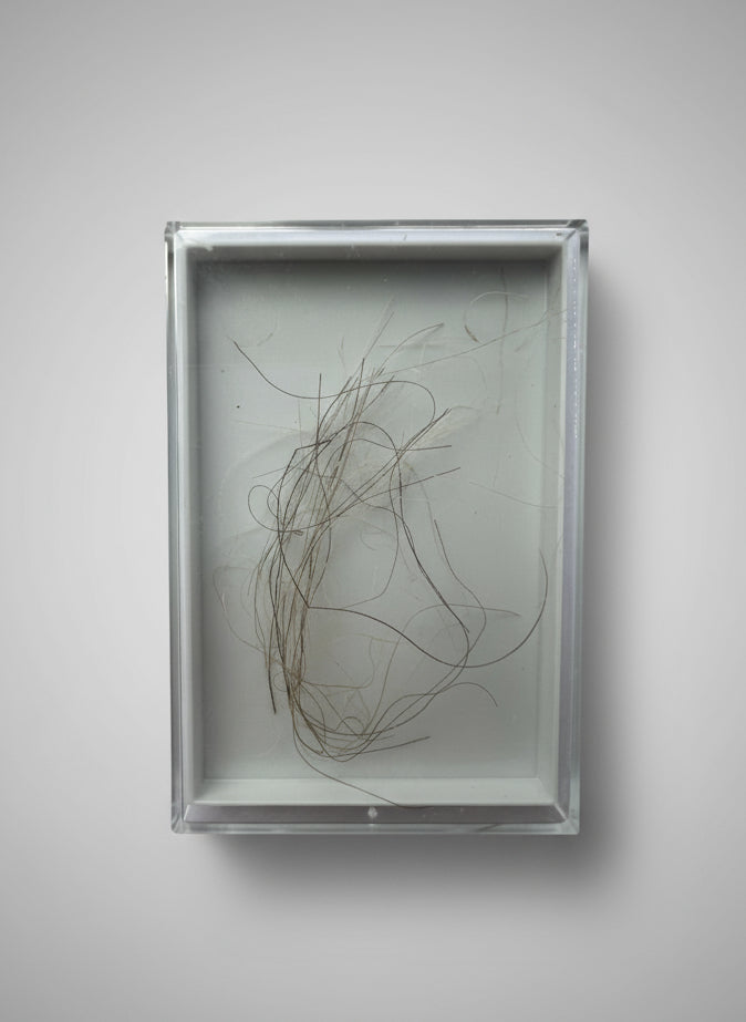 Mammuthus Primiginus (Wooly Mammoth) HAIR.  Siberian Permafrost find.