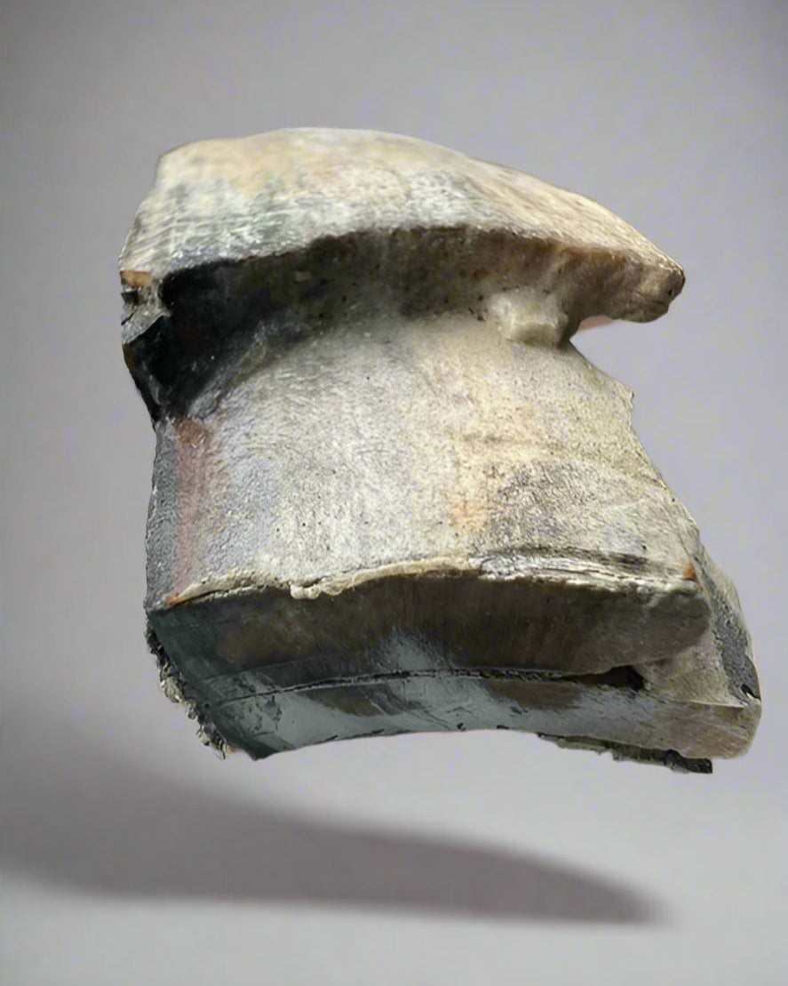 Mammuthus Primigenius (Wooly Mammoth) small tusk fragment. Siberia. Boxed with label.(#1)