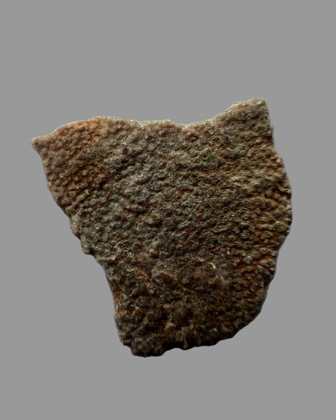 Hypselosaurus TITANOSAUR Sauropod Dinosaur Eggshell Fragment #1. Provence, France.