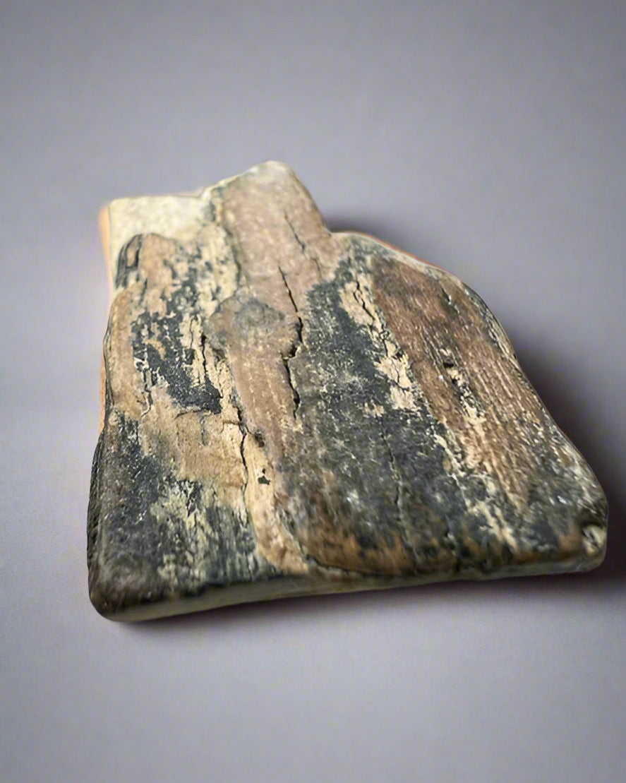 Mammuthus Primigenius (Wooly Mammoth) small tusk fragment. Siberia. Boxed with label.(#2)