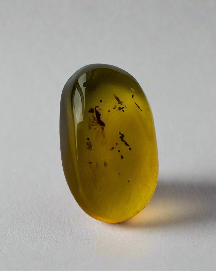 Nematocera: (Thread-Horn).  Burmese Amber with Genuine Fossil Inclusion.