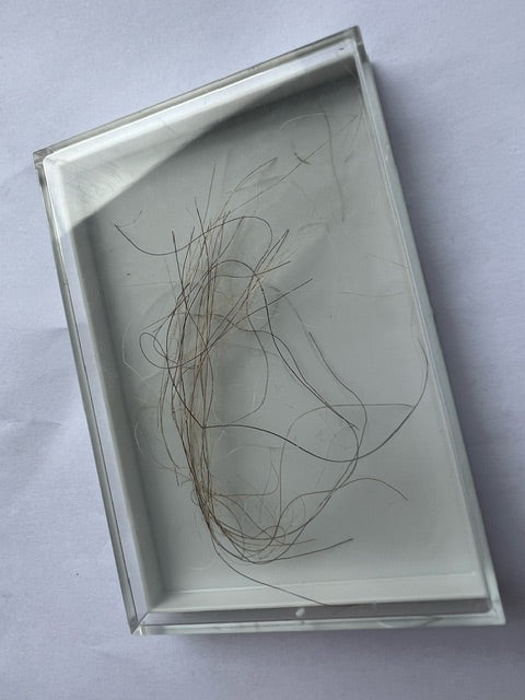 Mammuthus Primiginus (Wooly Mammoth) HAIR.  Siberian Permafrost find.