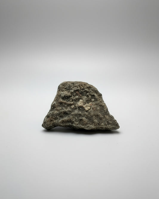 OVIRAPTOR Theropod Dinosaur Eggshell Fragment #2. Nanxiong, China.