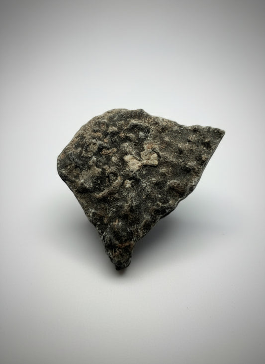 OVIRAPTOR Theropod Dinosaur Eggshell Fragment #2. Nanxiong, China.