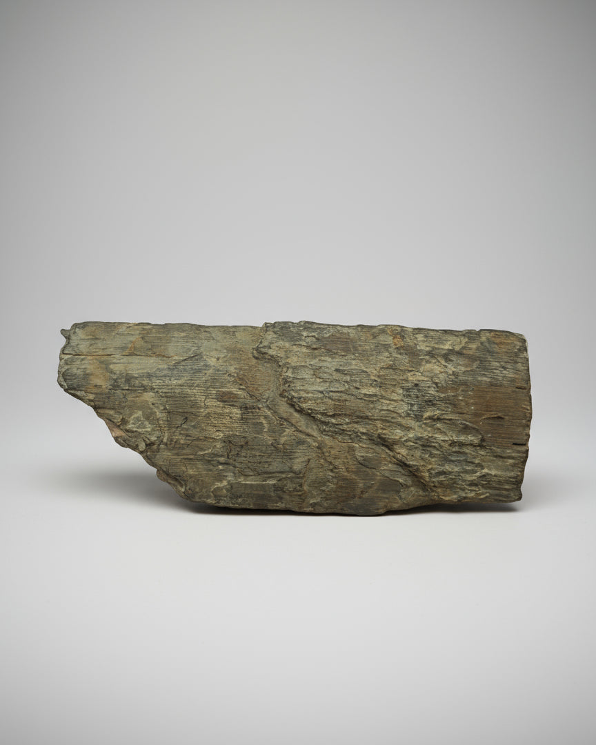 Mammuthus Primigenius (Wooly Mammoth) tusk section. Siberia.(#L2)