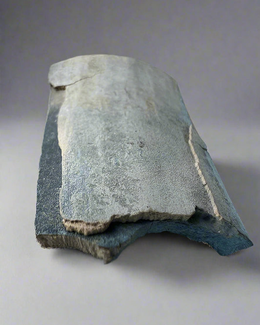 Mammuthus Primigenius (Wooly Mammoth) BLUE tusk section. Siberia. Boxed with label.(#2)