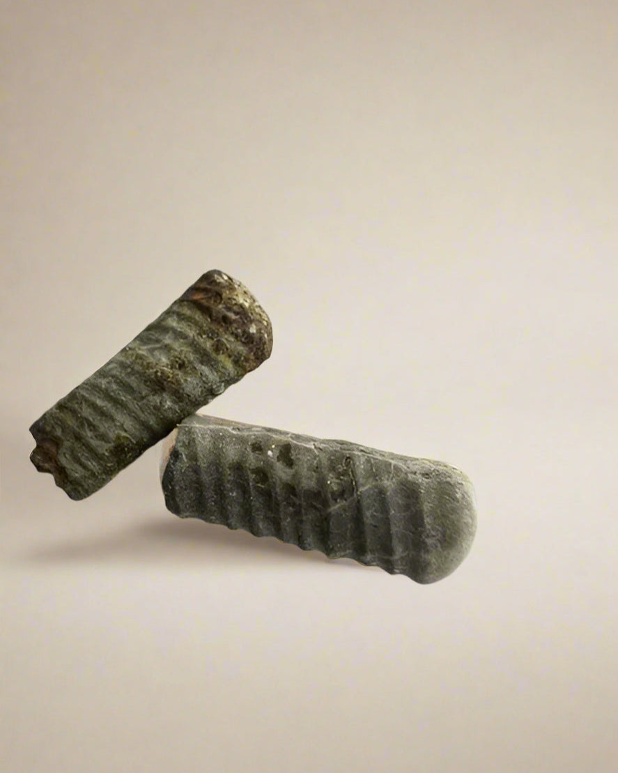 Straight Ammonite Sections. Gault Clay, Folkstone- Pack of 2.