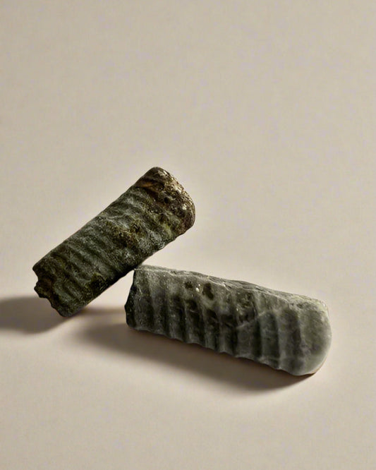 Straight Ammonite Sections. Gault Clay, Folkstone- Pack of 2.