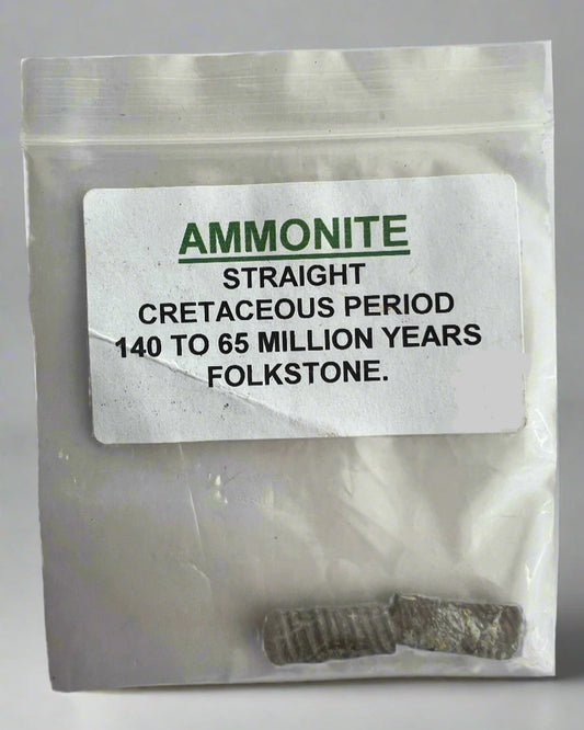 Straight Ammonite Sections. Gault Clay, Folkstone- Pack of 2.