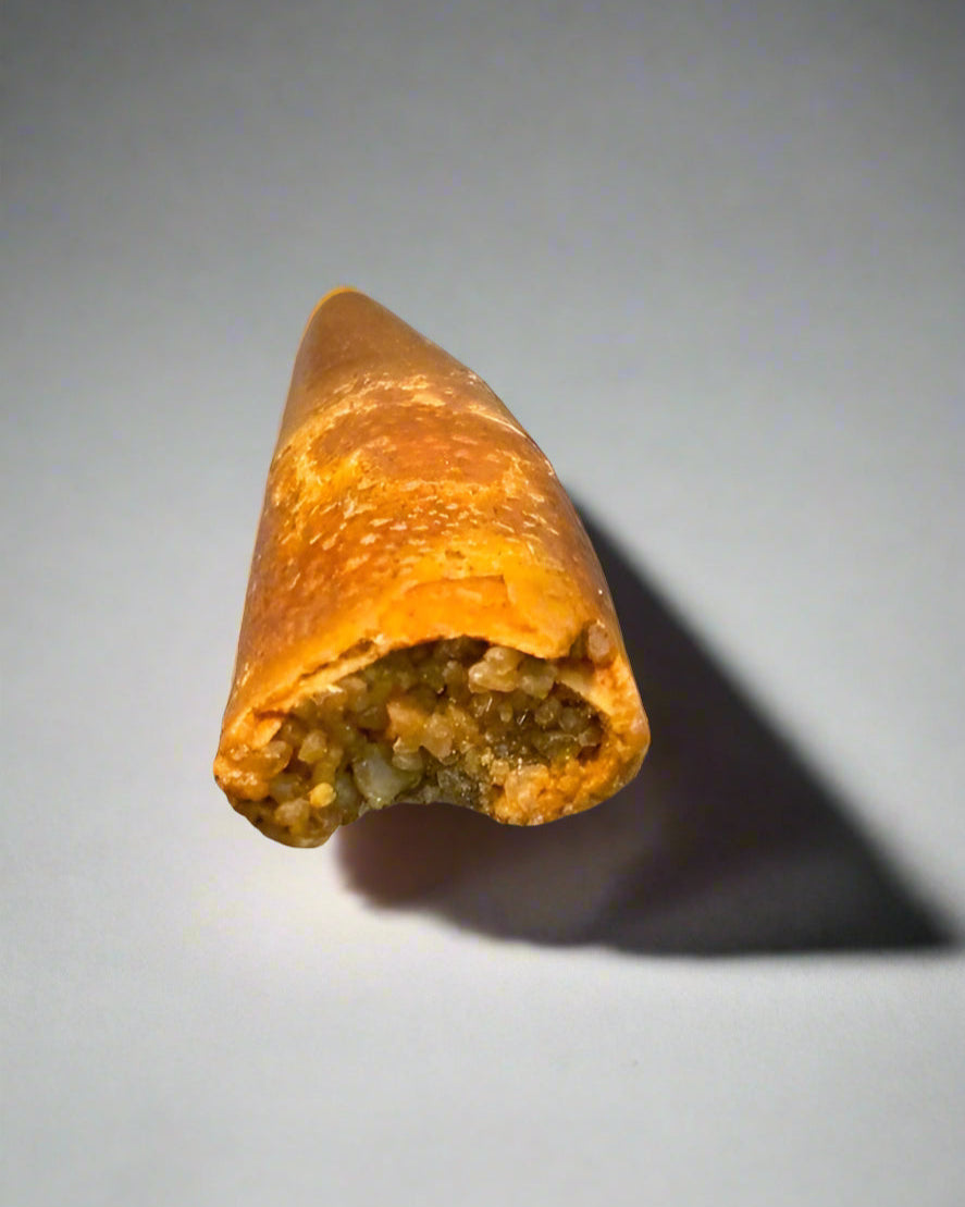 Pterosaur Tooth, Kem Kem Formation, Morocco. 3.5cm.