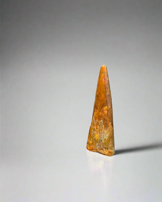 Pterosaur Tooth- Kem Kem Formation, Morocco. 3.1cm.